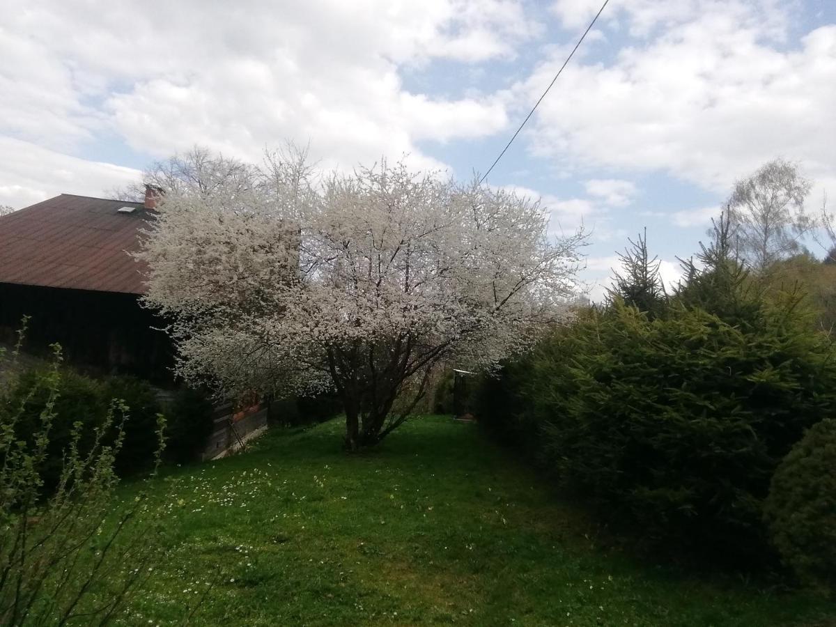 Rzeczne Zacisze Otel Ustrzyki Dolne Dış mekan fotoğraf